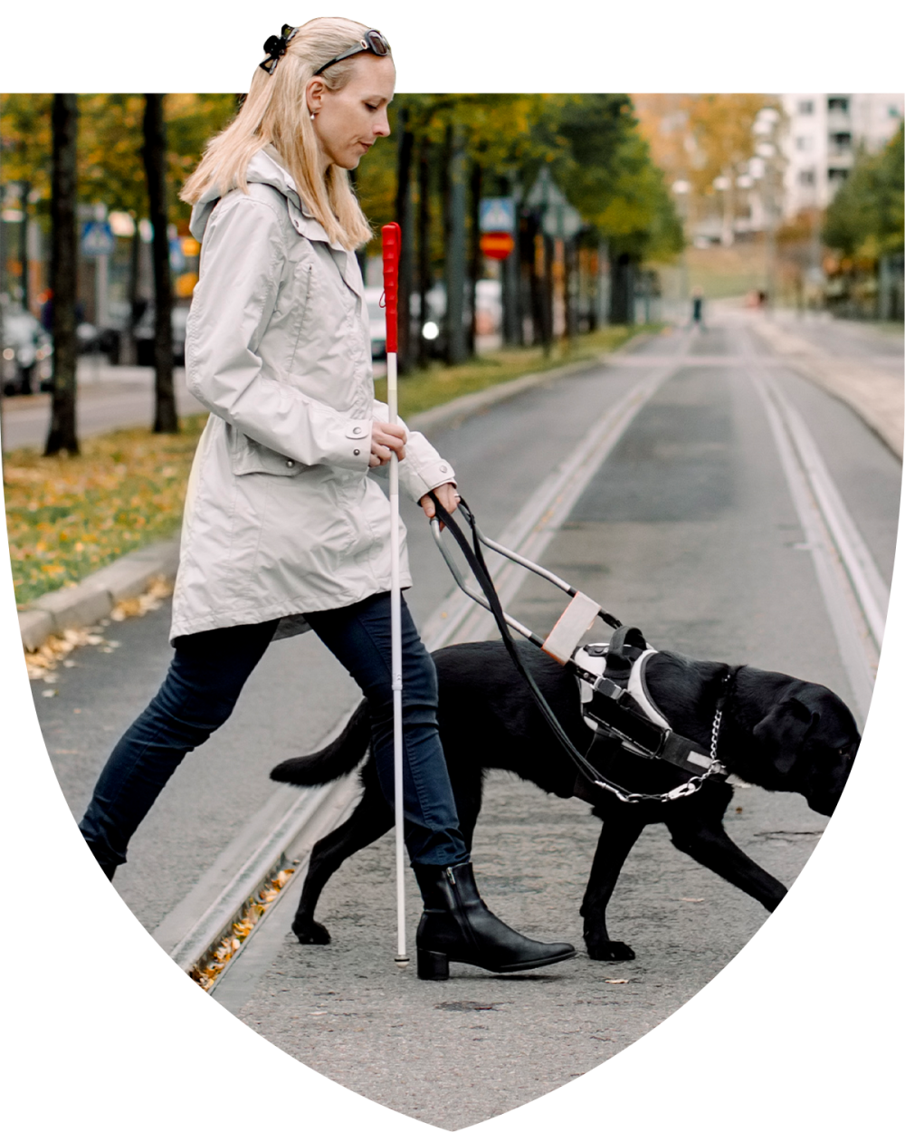 Woman walking across the street with her assistance dog 
